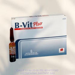 B-VIT X 6 AMPOLLAS DE 2ML